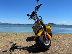 A Few Reasons Why Tilting Electric Trikes Like EVa3x2 Are The Future