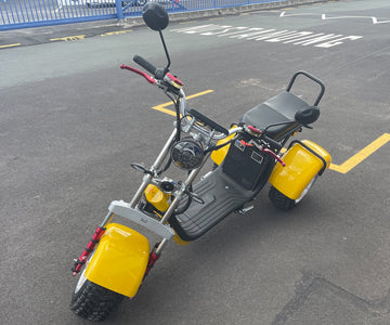 The Tilting Electric Trike (EVa3x2): Why It's the Best Choice For All Ages