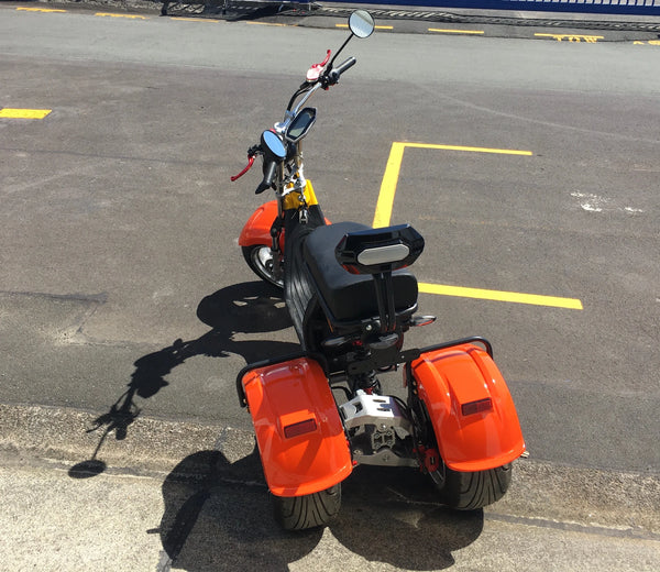 EVa3x2 SCM&trade; Dual Motor 4000w + Front Alternator Wheel (2000w) Tilting eTrike-Moped with Self-Charging Mode (SCM) Using KINETIC Energy